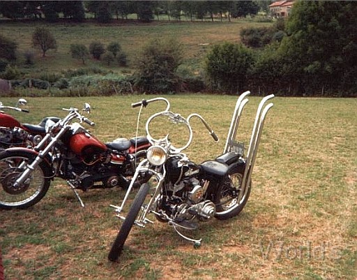 OnRoad 032.jpg